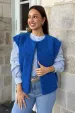 Bleu roi